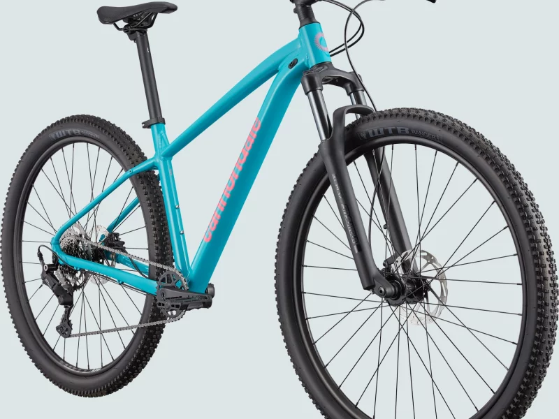 Cannondale Trail 2-1